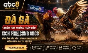 Trận đá gà nổi bật ABC8
